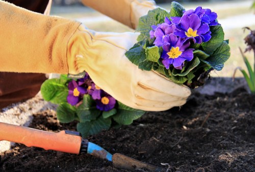 Pre-start site inspection by a gardener checking ground and plant hazards